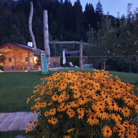 Griesbachhof-Wilder Kaiser Oberndorf in Tirol Eksteriør bilde