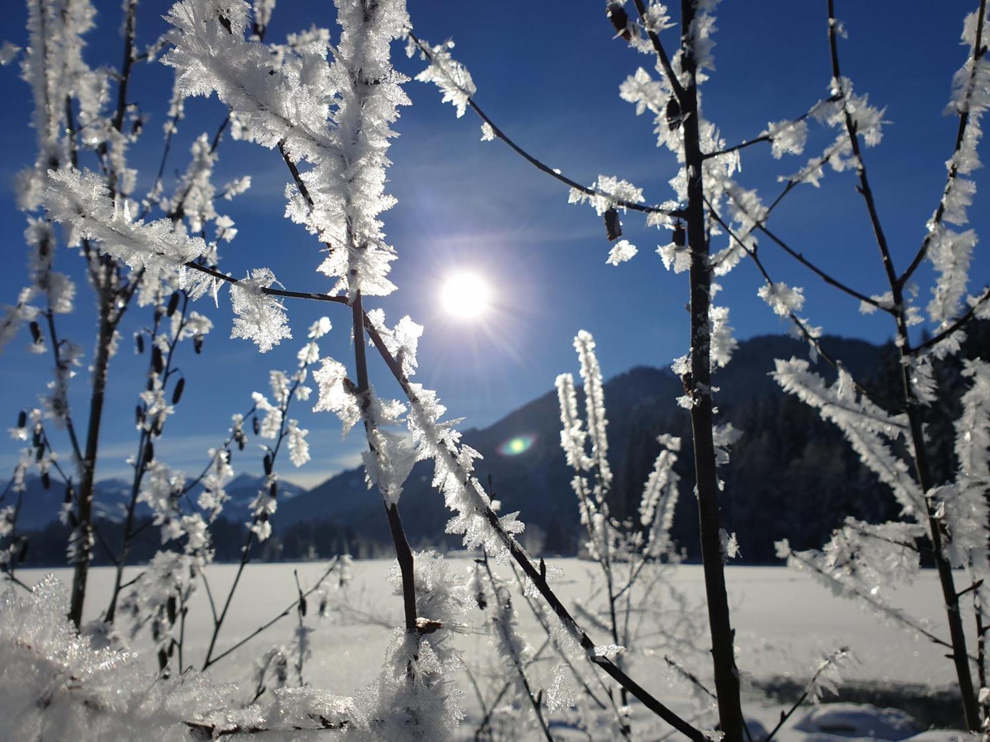 Griesbachhof-Wilder Kaiser Oberndorf in Tirol Eksteriør bilde