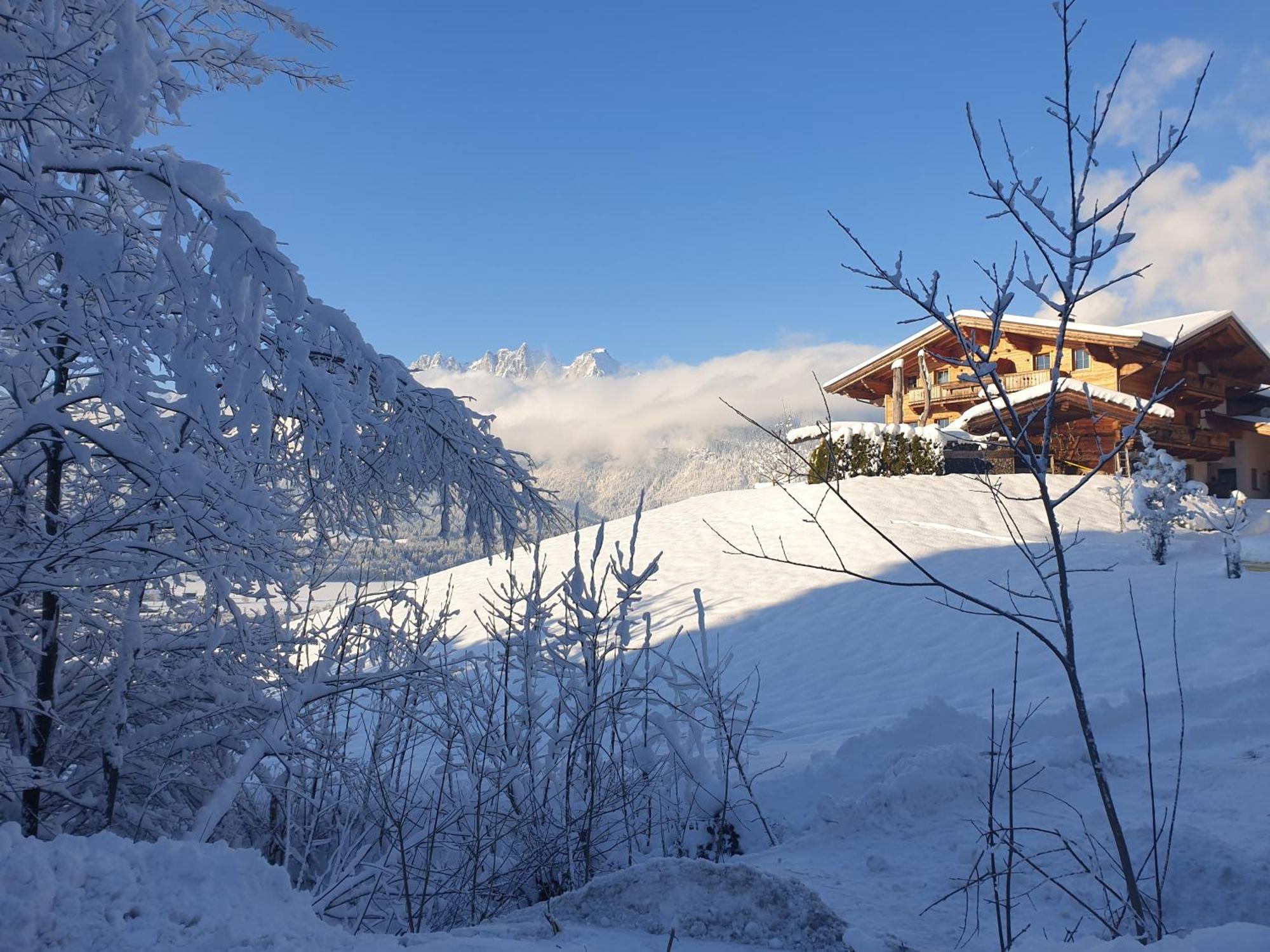 Griesbachhof-Wilder Kaiser Oberndorf in Tirol Eksteriør bilde