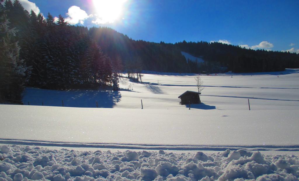 Griesbachhof-Wilder Kaiser Oberndorf in Tirol Eksteriør bilde