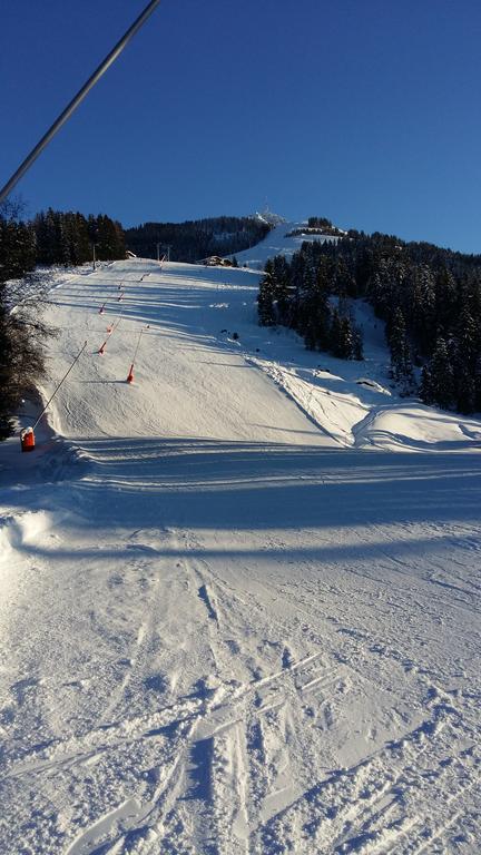 Griesbachhof-Wilder Kaiser Oberndorf in Tirol Eksteriør bilde